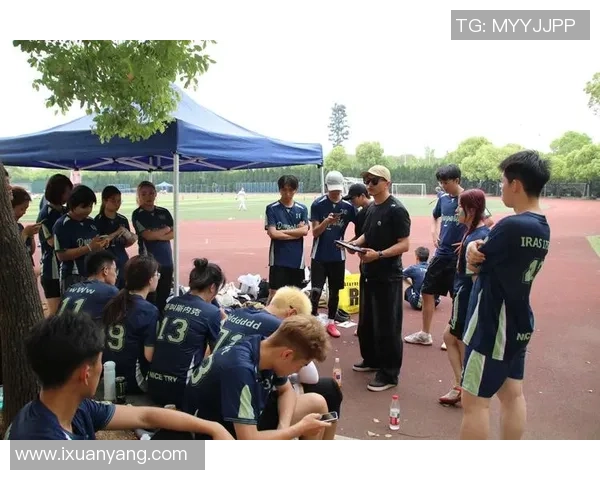 深入分析北京飞盘队的战术演变与转换打法的独特魅力